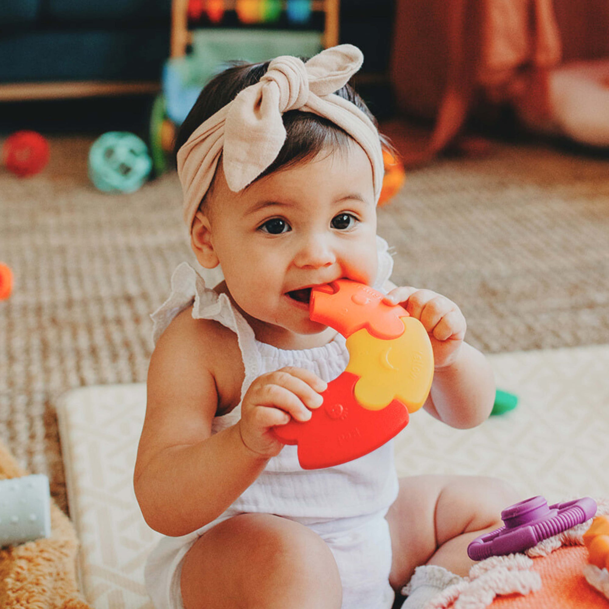 Colour Wheel Jellystone Designs