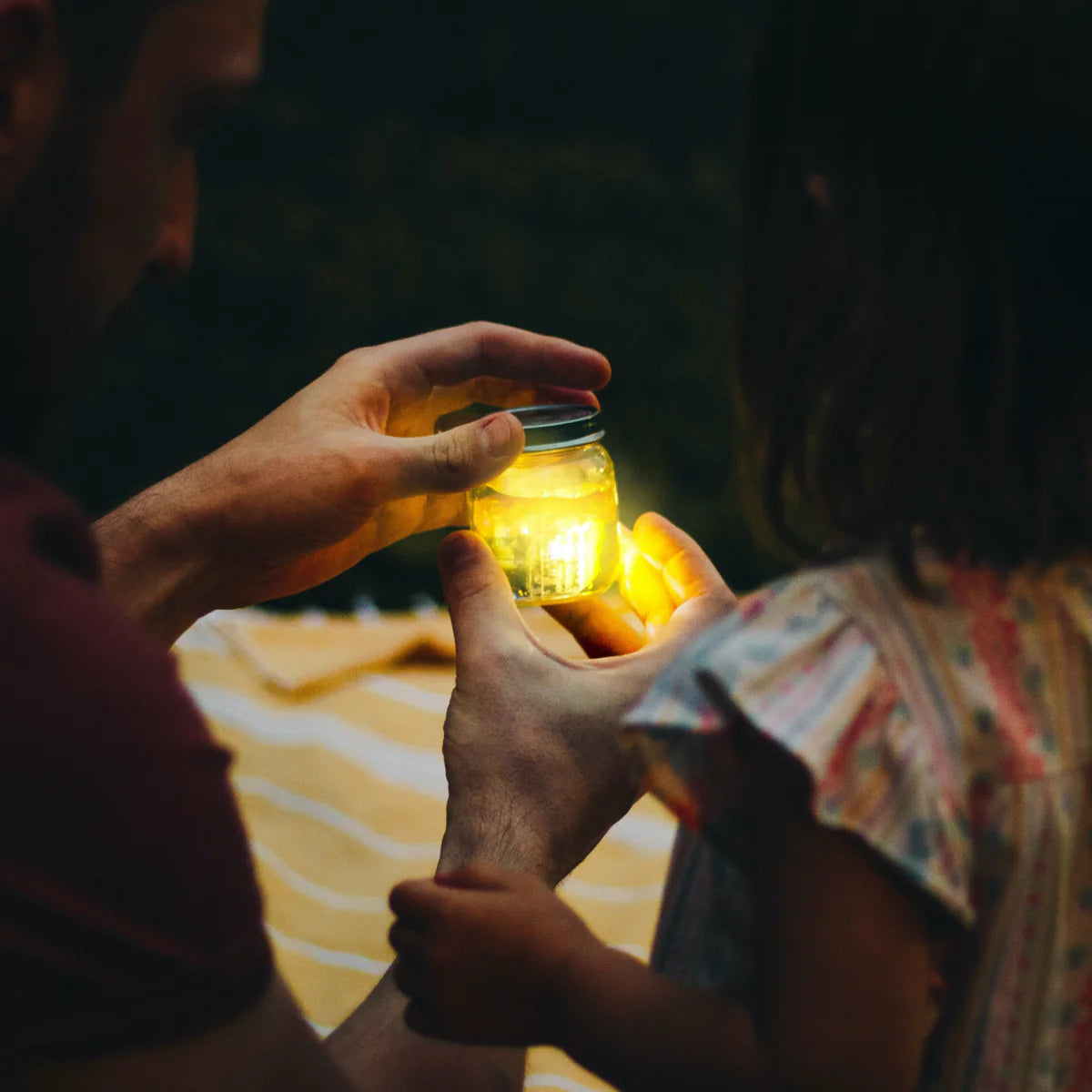 Big Bird Light-Up Cubes