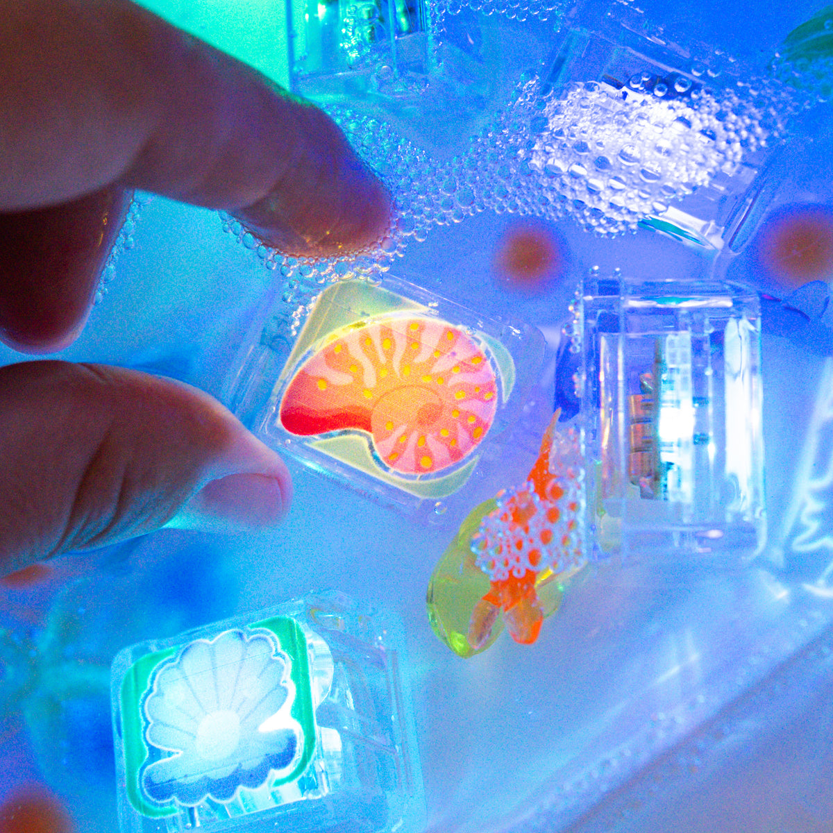 Ocean Light-Up Cubes 6-Pack