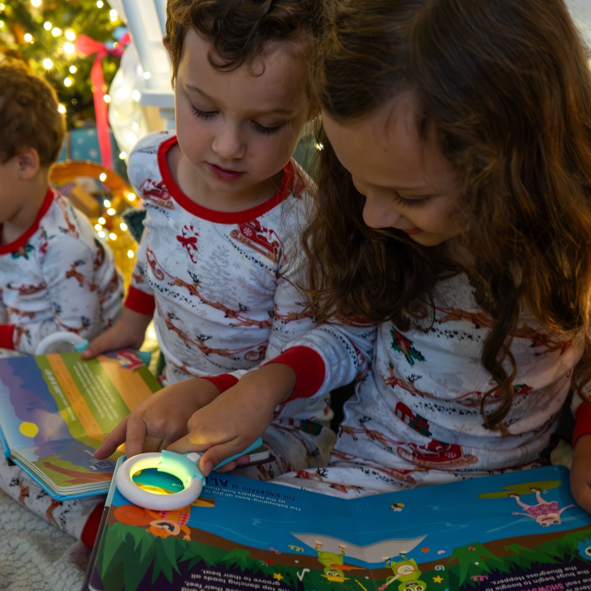 Light-Up Library™ - Blair's Backyard of Big Ideas