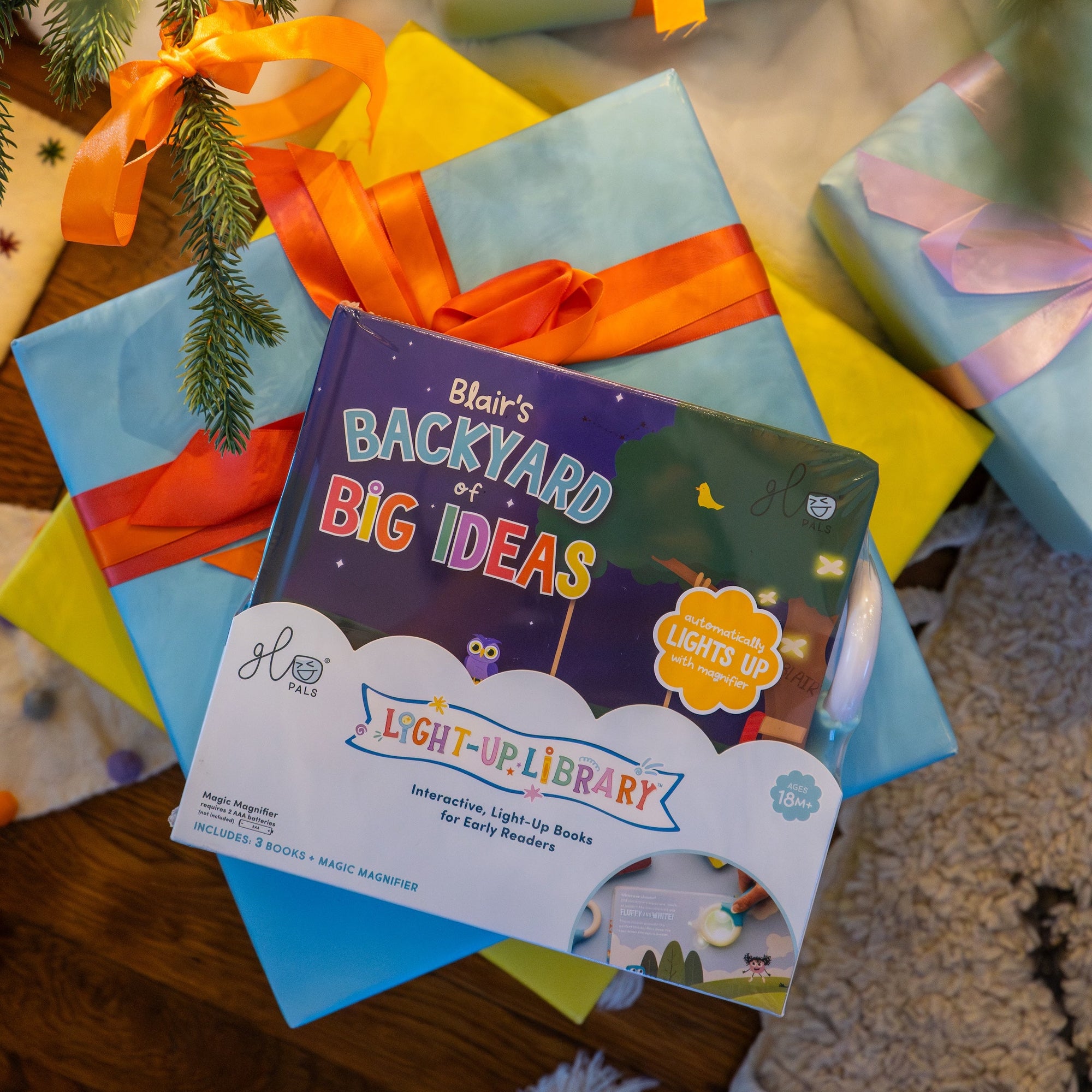 Light-Up Library™ - 3 Book Set