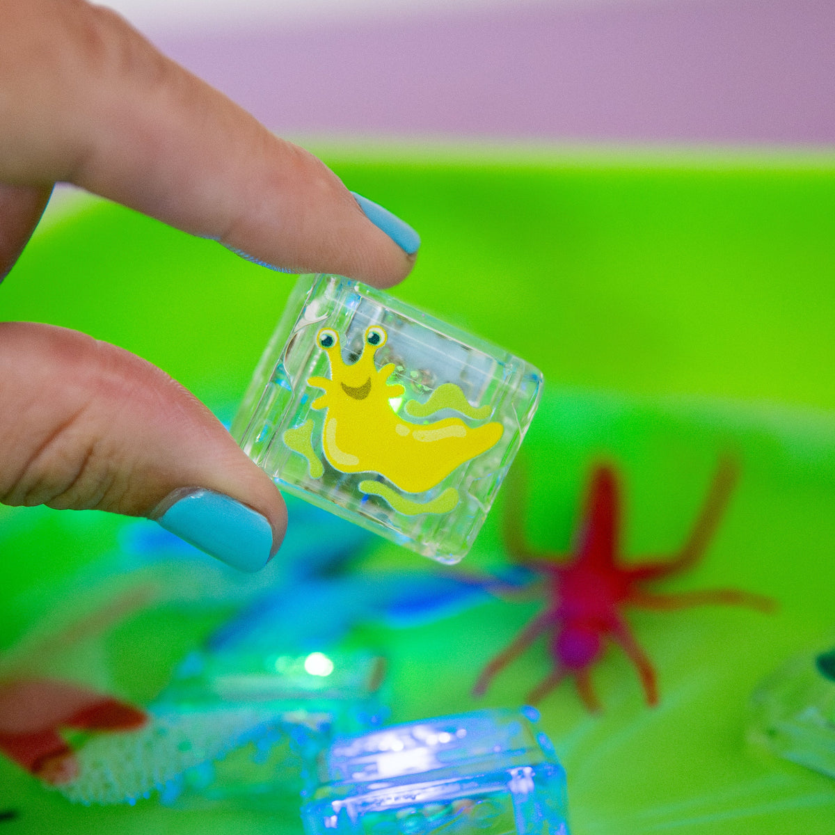 Insects Light-Up Cubes 6-Pack