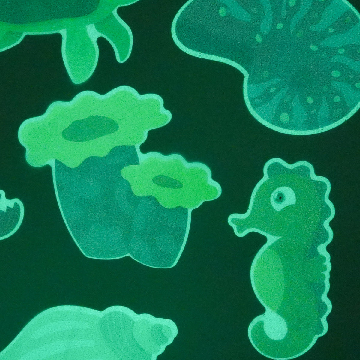 Silly Sensory Subscription