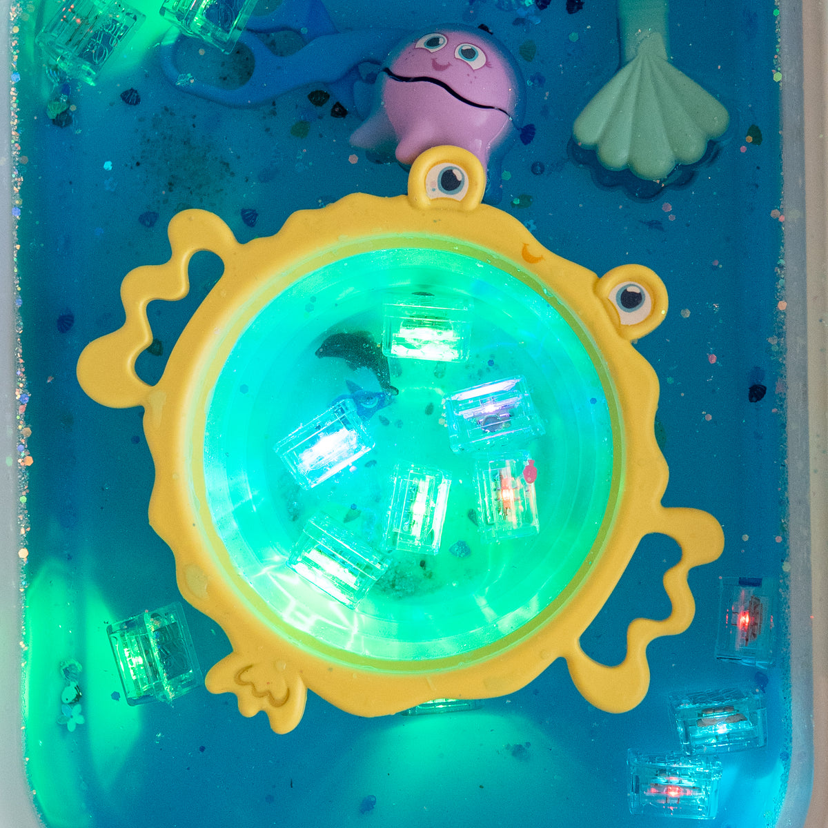 Ocean Explorer Bundle