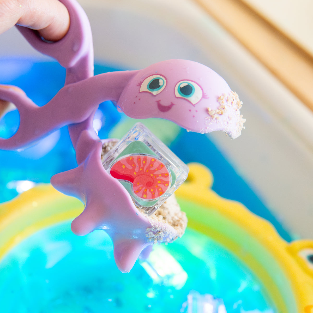 Ocean Explorer Bundle