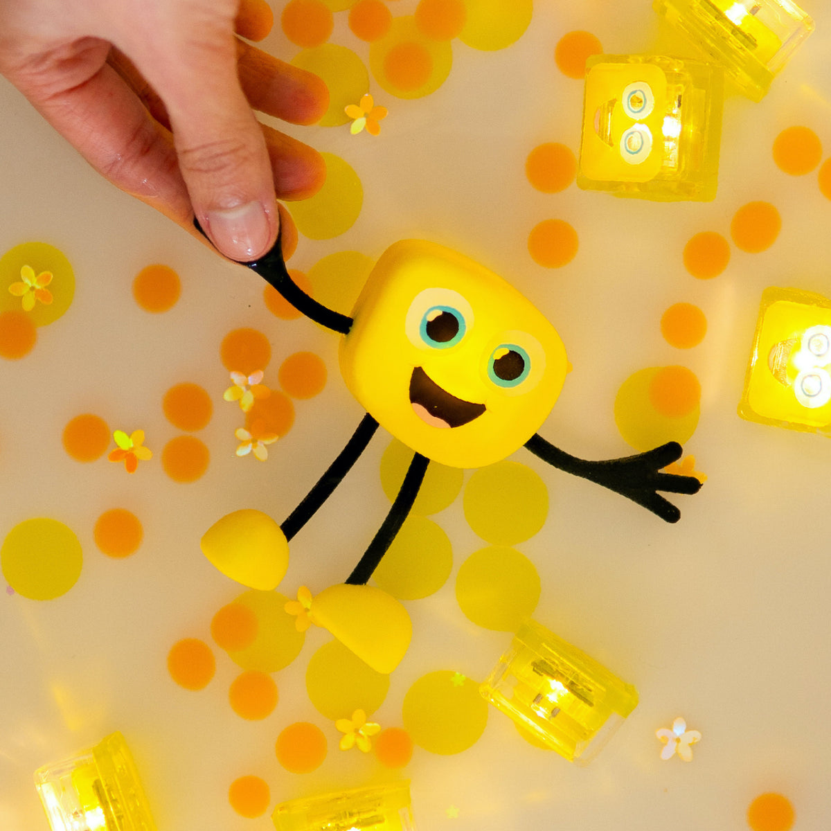 Silly Sensory Subscription