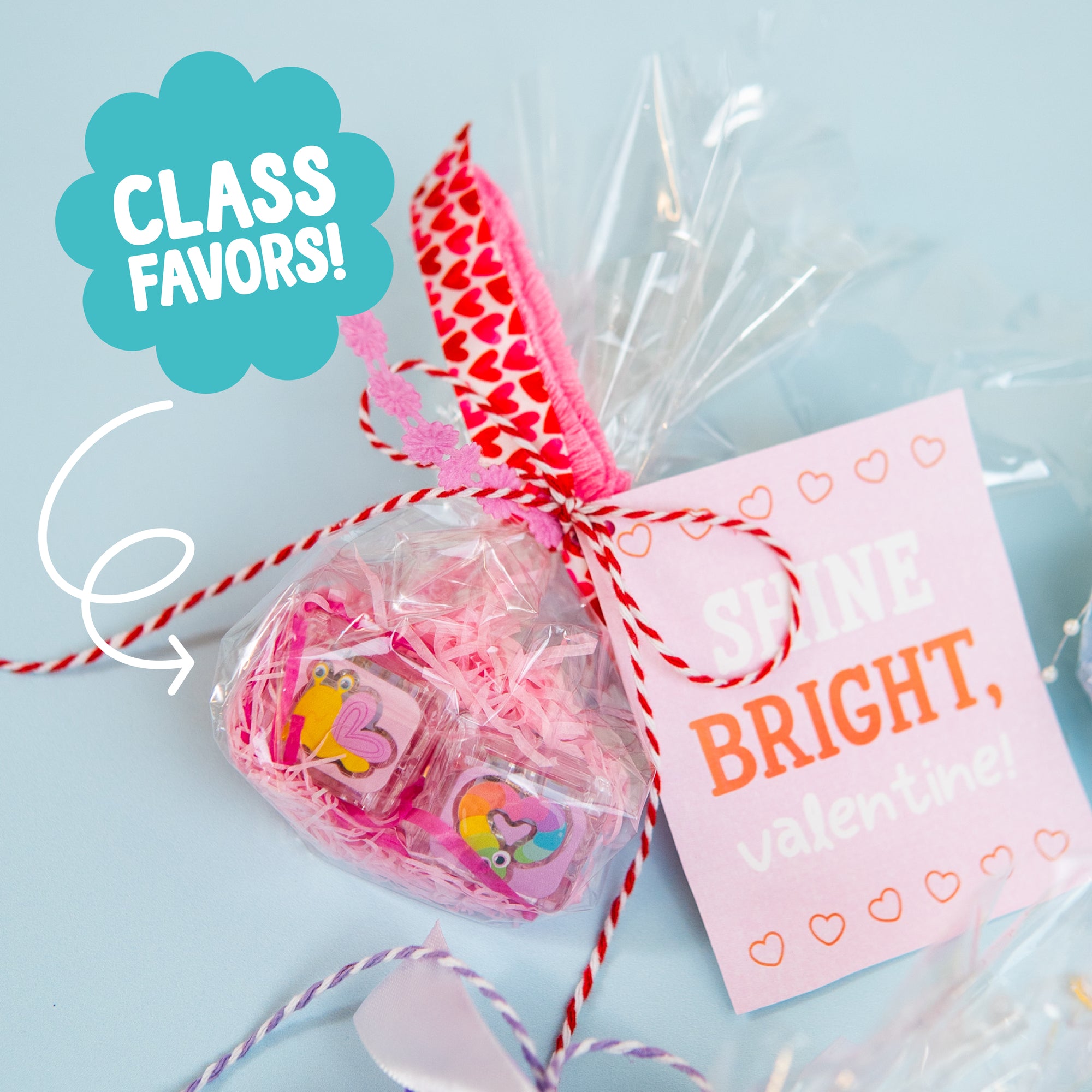 Love Bugs 24-Pack Cubes Bundle