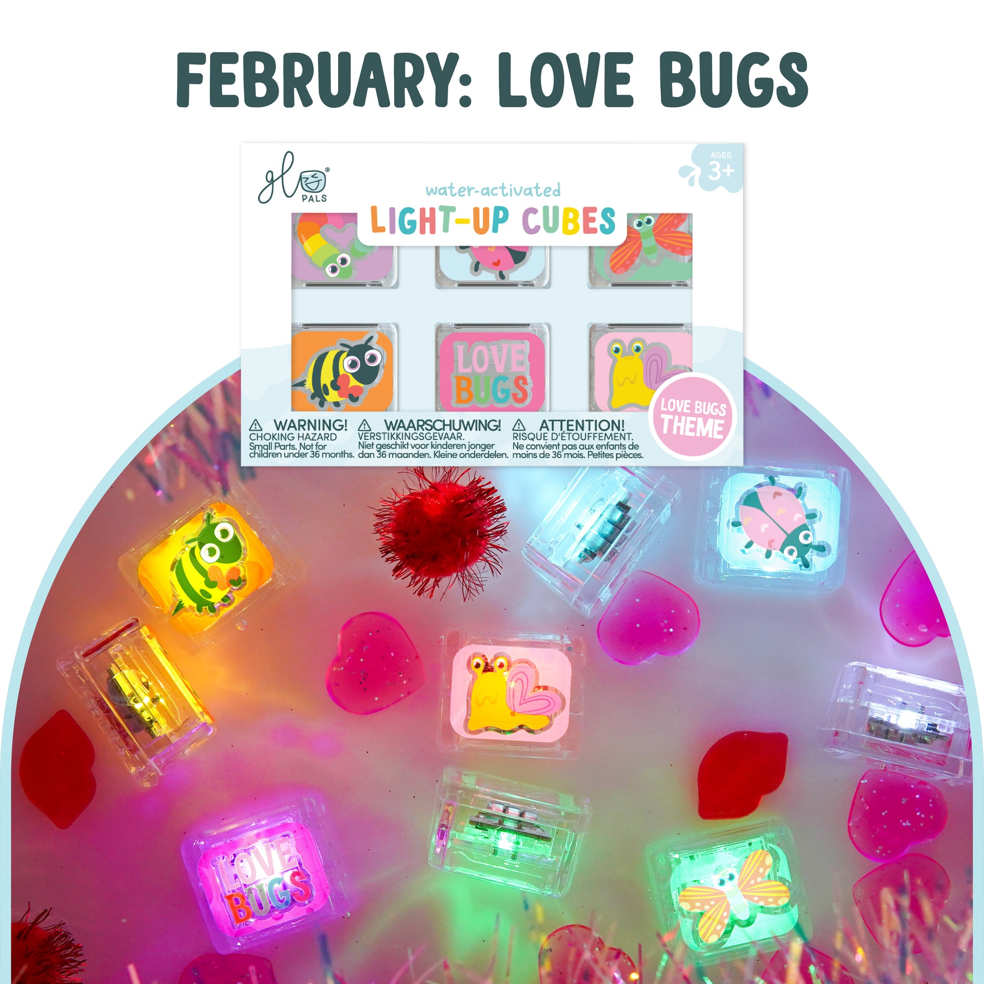 6-Pack Seasonal Subscription