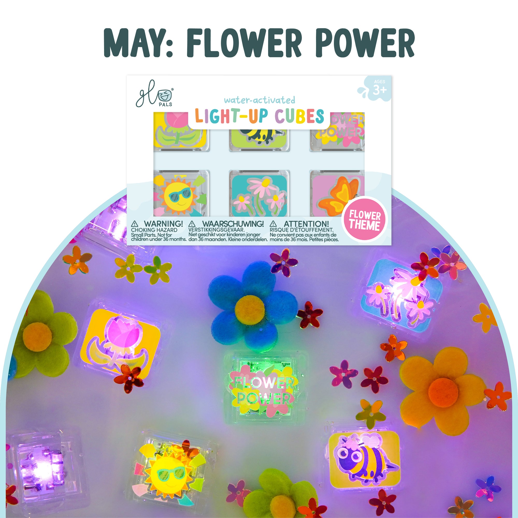 6-Pack Seasonal Subscription