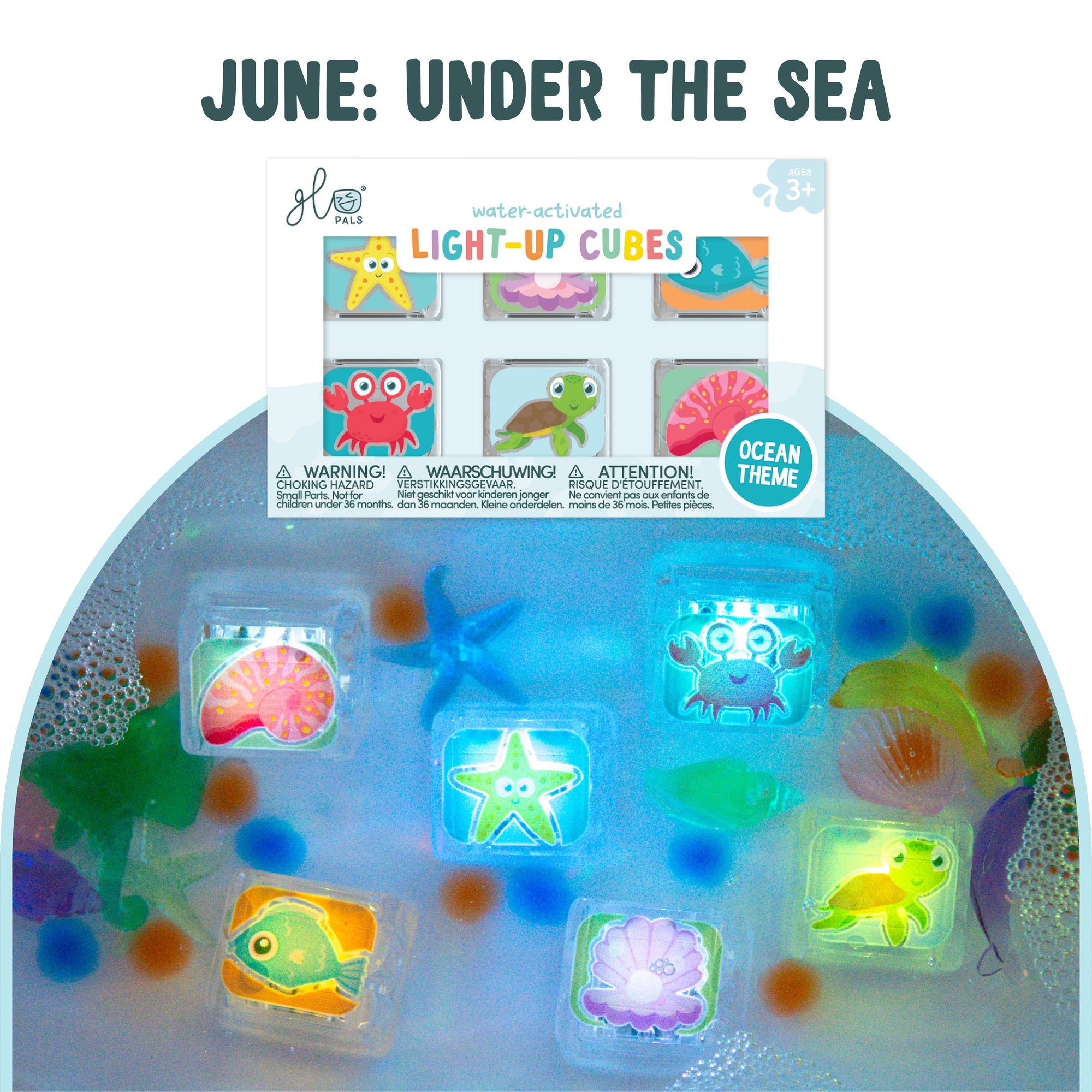 6-Pack Seasonal Subscription