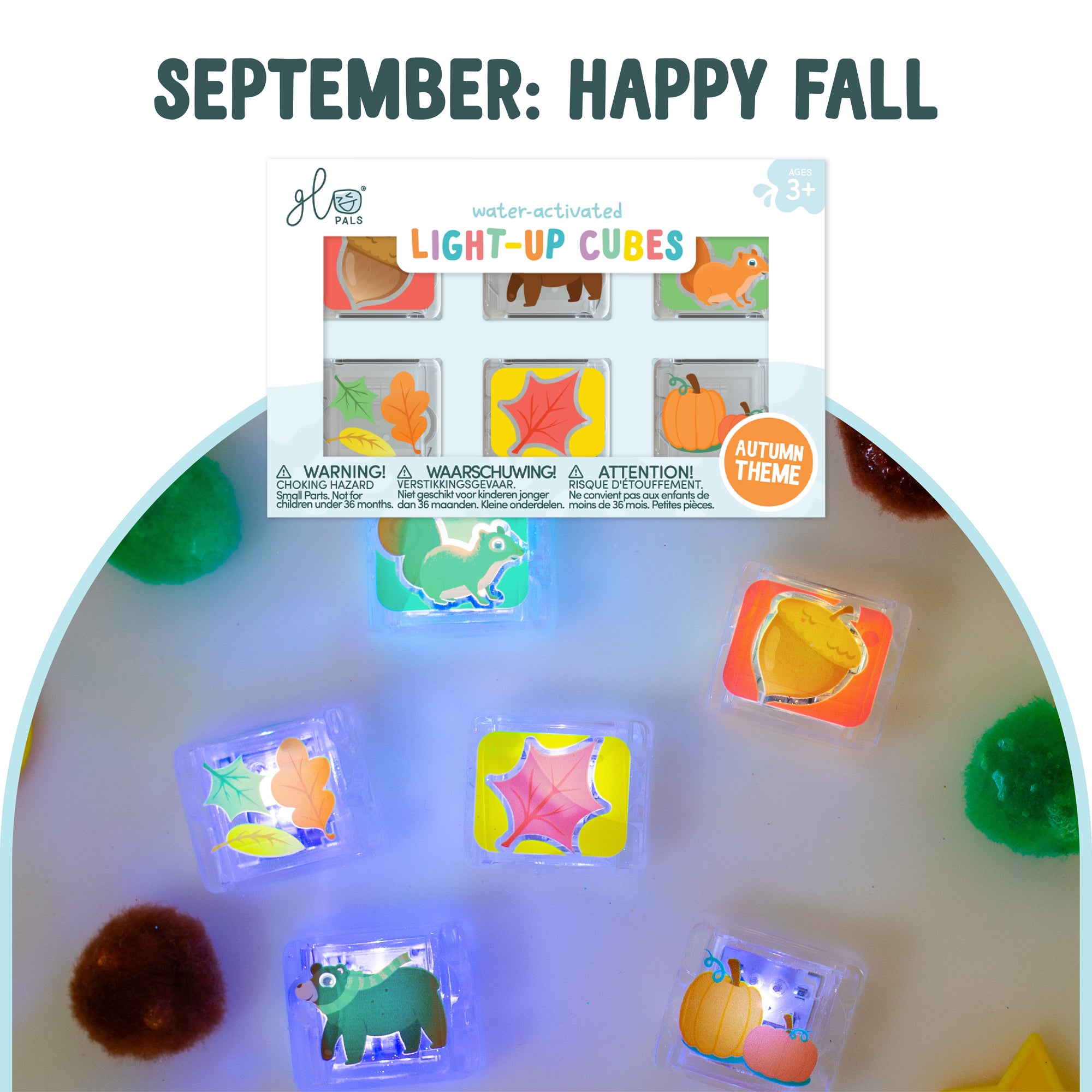 6-Pack Seasonal Subscription