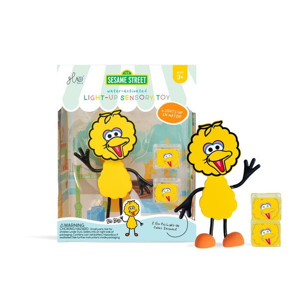GP-FIN-CHAR-BIGBIRD_700_grande
