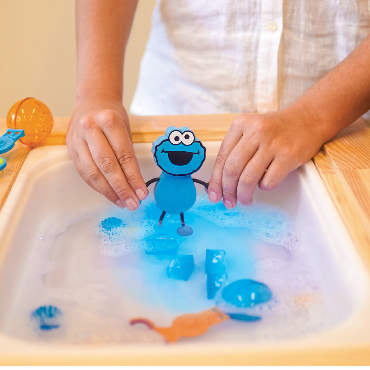 Cookie Monster Character