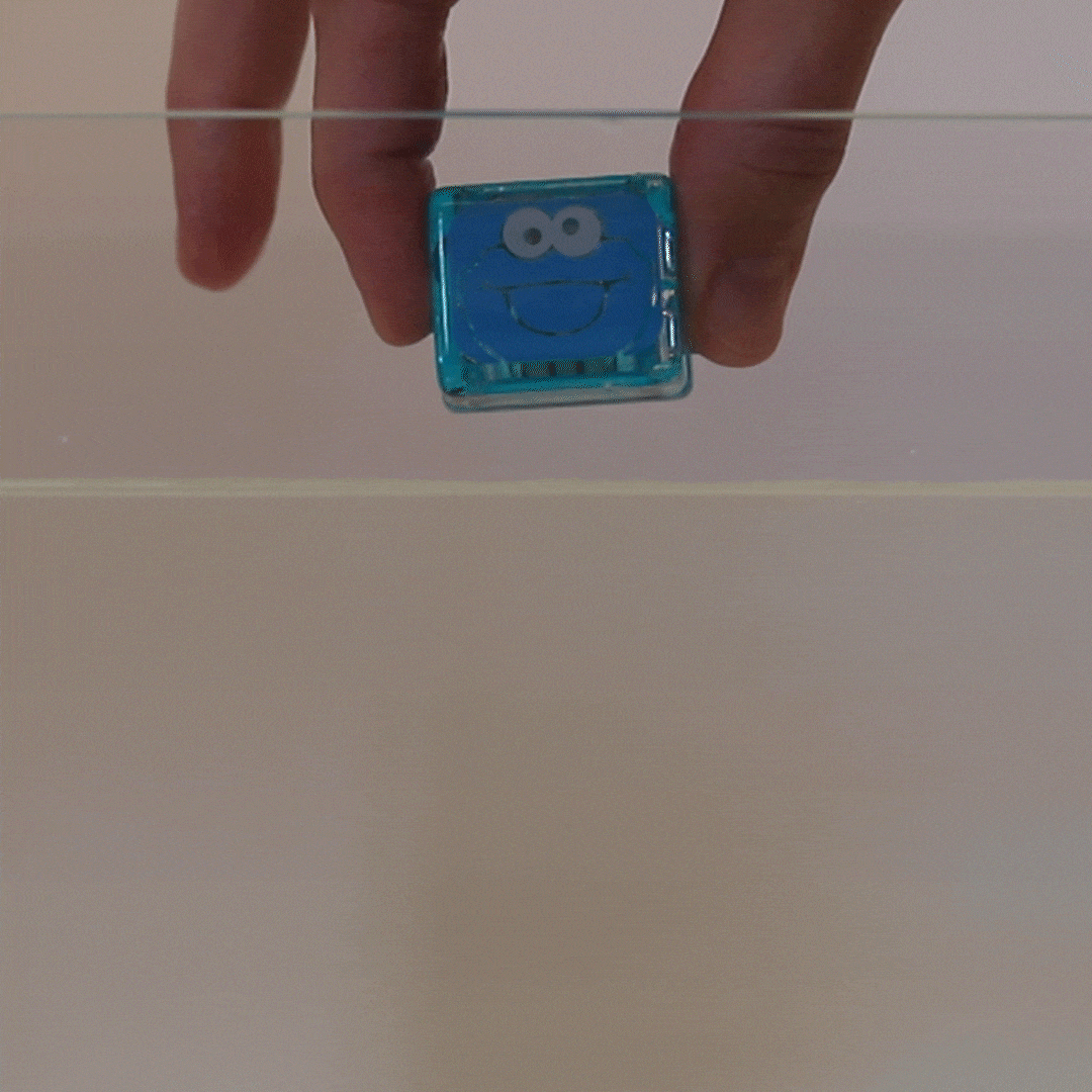 Cookie Monster Light-Up Cubes
