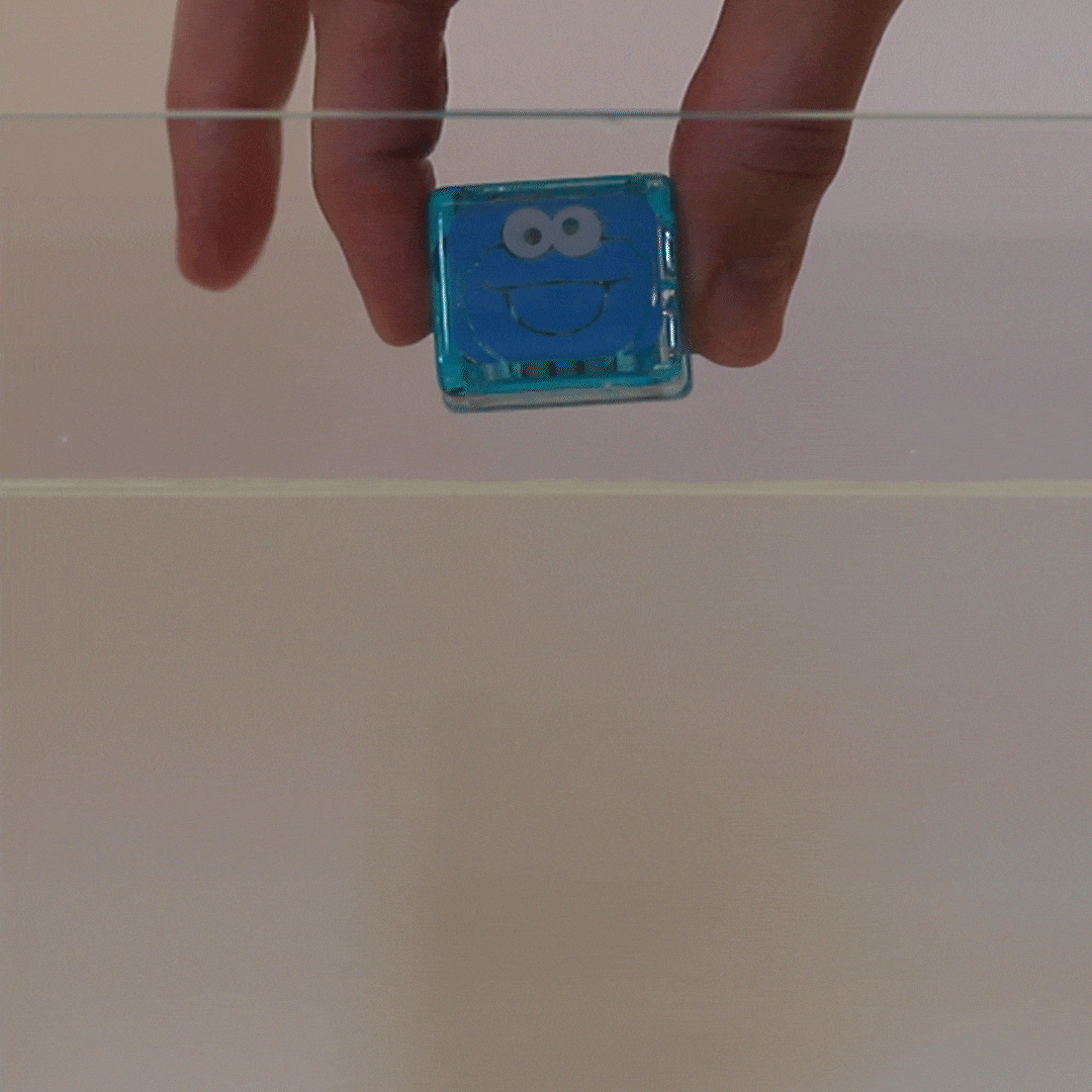 Cookie Monster Light-Up Cubes 4-Pack